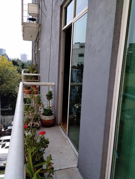 Apartament Castillo De Chapultepec Meksyk Zewnętrze zdjęcie